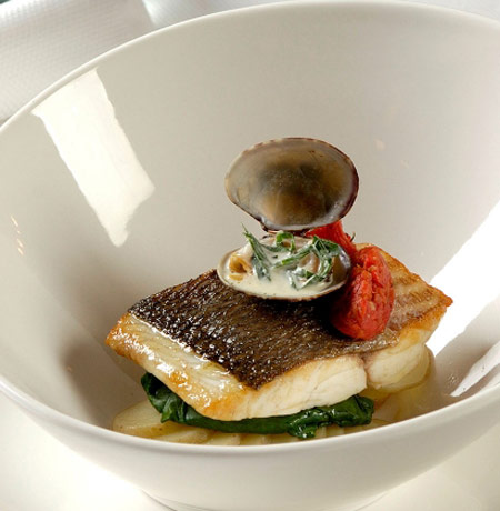 Sheer系列 Sheer系列