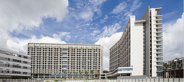 fushik.jpg fushik.jpg